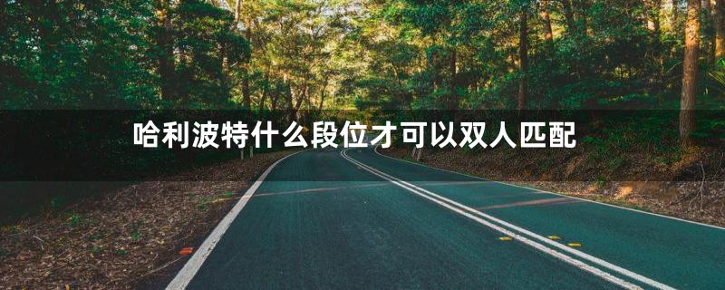 哈利波特什么段位才可以双人匹配