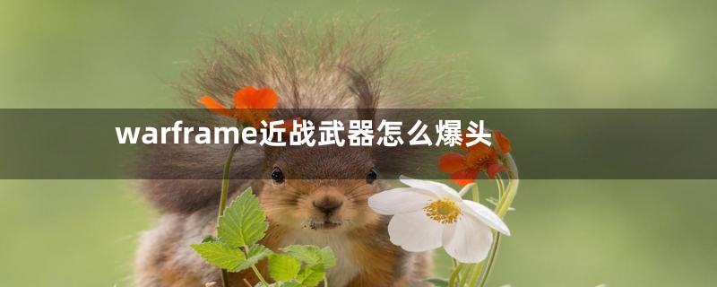 warframe近战武器怎么爆头