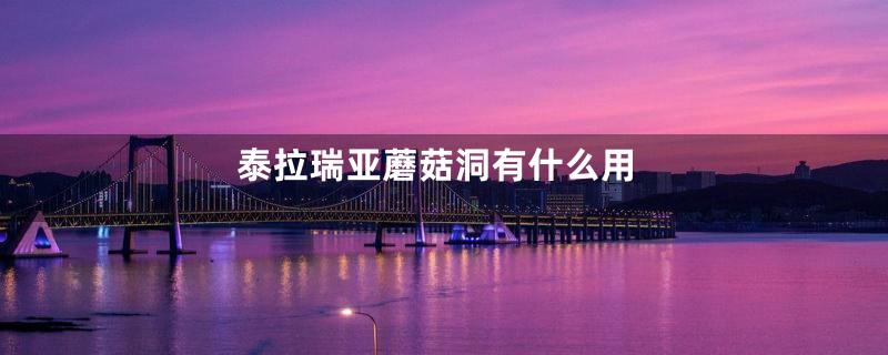 泰拉瑞亚蘑菇洞有什么用