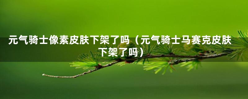 元气骑士像素皮肤下架了吗（元气骑士马赛克皮肤下架了吗）