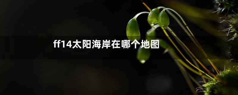 ff14太阳海岸在哪个地图