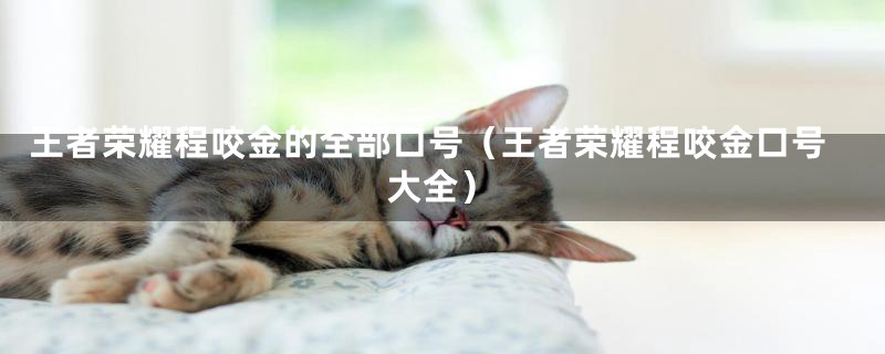 王者荣耀程咬金的全部口号(王者荣耀程咬金口号大全)