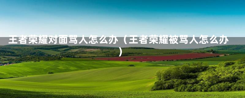 王者荣耀对面骂人怎么办(王者荣耀被骂人怎么办)