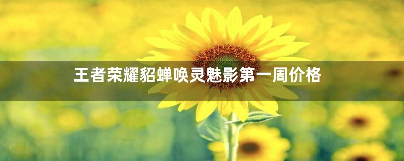 王者荣耀貂蝉唤灵魅影第一周价格