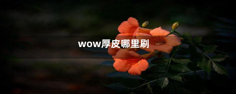 wow厚皮哪里刷