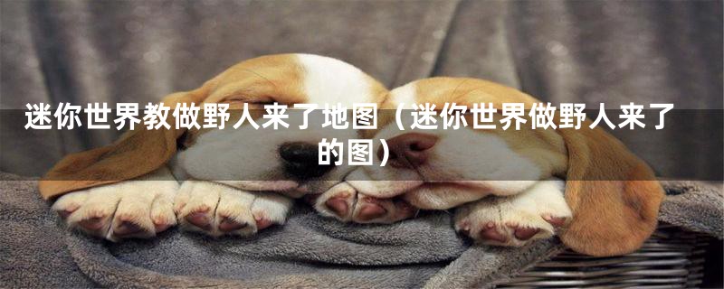 迷你世界教做野人来了地图（迷你世界做野人来了的图）