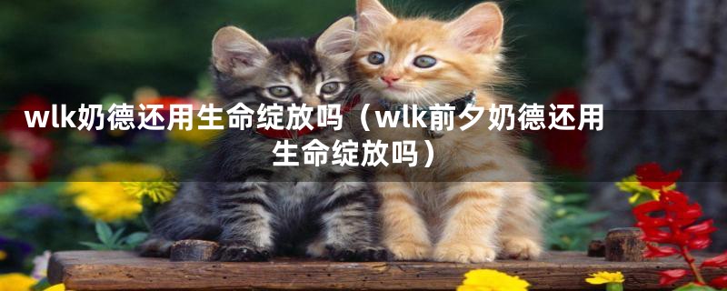 wlk奶德还用生命绽放吗（wlk前夕奶德还用生命绽放吗）