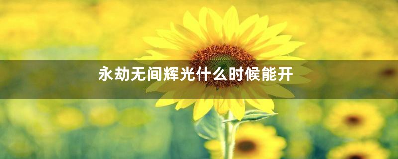 永劫无间辉光什么时候能开