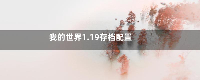 我的世界1.19存档配置