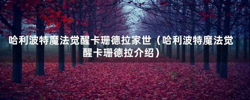 哈利波特魔法觉醒卡珊德拉家世（哈利波特魔法觉醒卡珊德拉介绍）