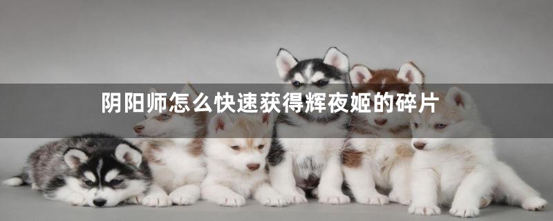 阴阳师怎么快速获得辉夜姬的碎片