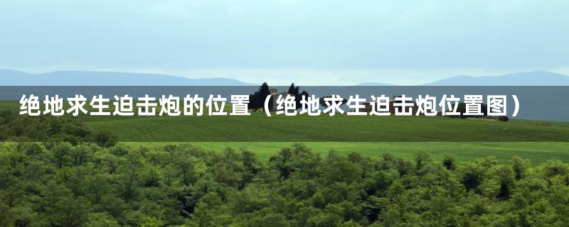 绝地求生迫击炮的位置（绝地求生迫击炮位置图）