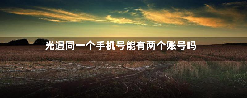光遇同一个手机号能有两个账号吗