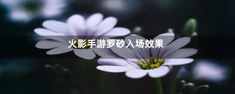 火影手游罗砂入场效果
