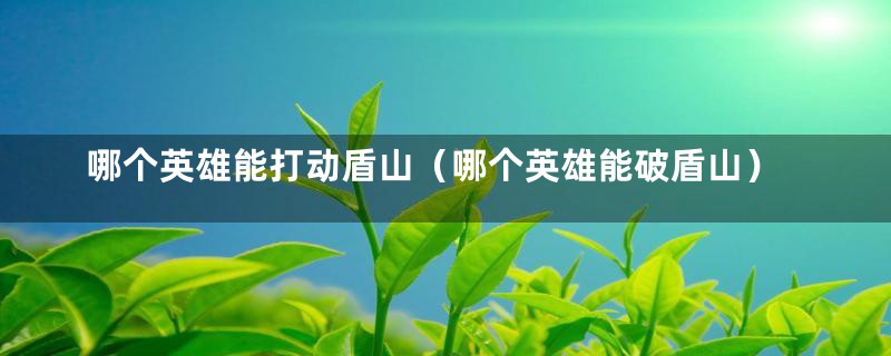哪个英雄能打动盾山(哪个英雄能破盾山)