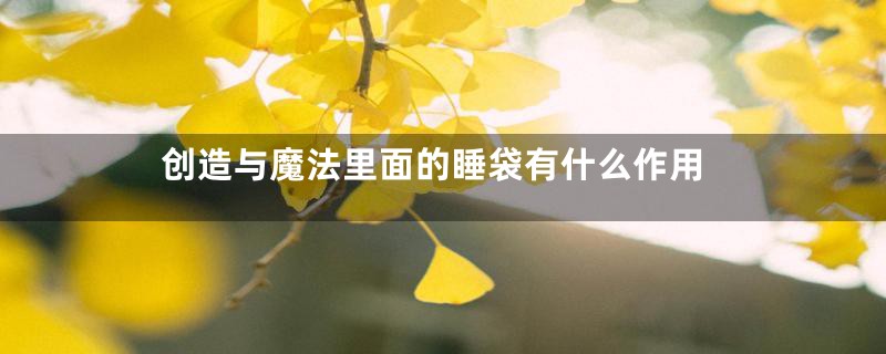 创造与魔法里面的睡袋有什么作用
