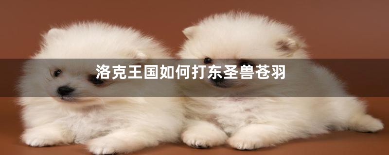洛克王国如何打东圣兽苍羽