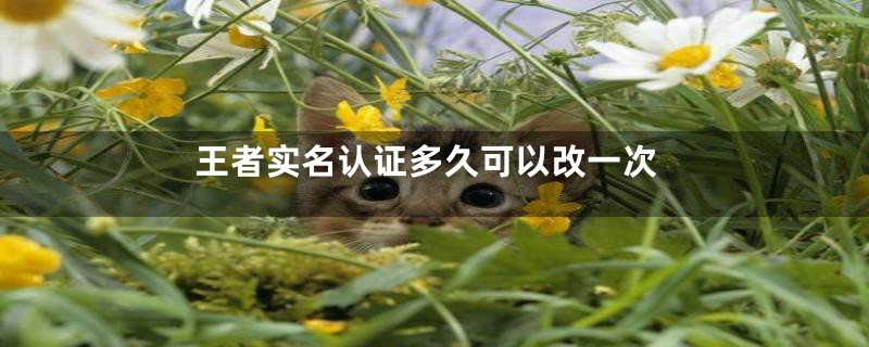 王者实名认证多久可以改一次