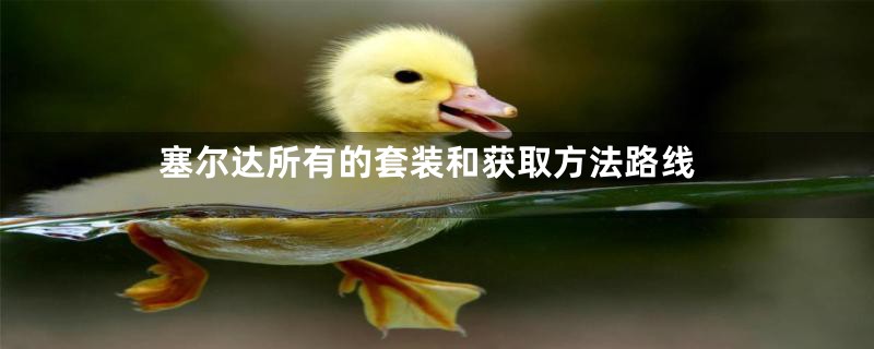 塞尔达所有的套装和获取方法路线