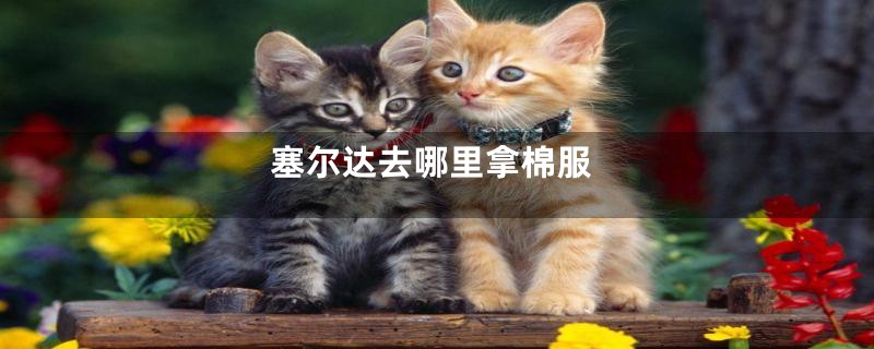 塞尔达去哪里拿棉服