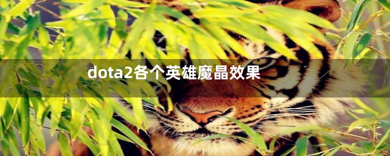 dota2各个英雄魔晶效果