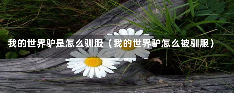 我的世界驴是怎么驯服（我的世界驴怎么被驯服）