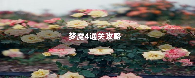 梦魇4通关攻略