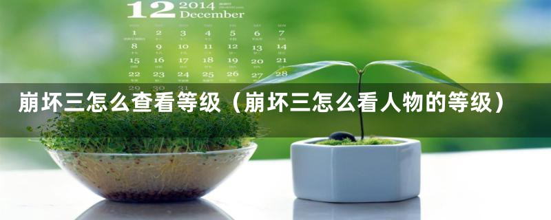 崩坏三怎么查看等级（崩坏三怎么看人物的等级）