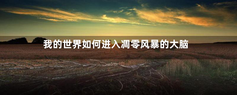 我的世界如何进入凋零风暴的大脑