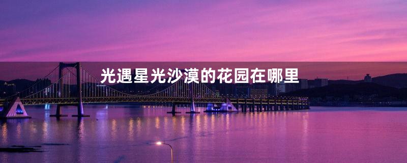 光遇星光沙漠的花园在哪里