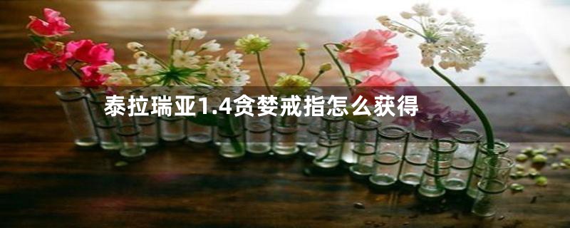 泰拉瑞亚1.4贪婪戒指怎么获得