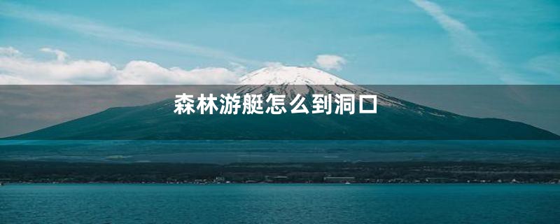 森林游艇怎么到洞口