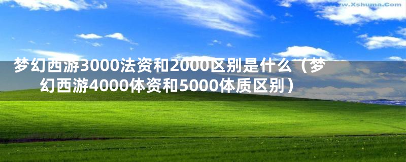 梦幻西游3000法资和2000区别是什么(梦幻西游4000体资和5000体质区别)