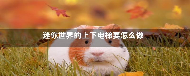 迷你世界的上下电梯要怎么做