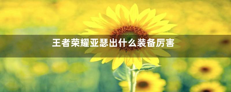王者荣耀亚瑟出什么装备厉害