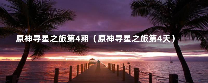 原神寻星之旅第4期(原神寻星之旅第4天)