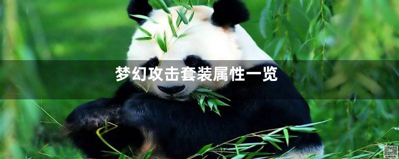 梦幻攻击套装属性一览