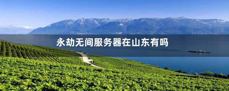 永劫无间服务器在山东有吗