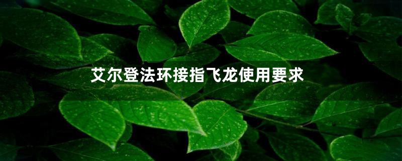 艾尔登法环接指飞龙使用要求