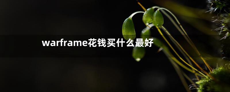 warframe花钱买什么最好