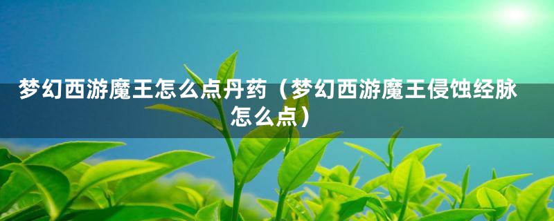 梦幻西游魔王怎么点丹药(梦幻西游魔王侵蚀经脉怎么点)