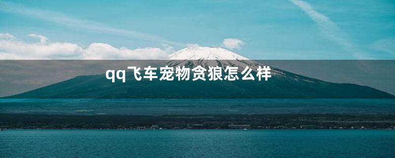 qq飞车宠物贪狼怎么样