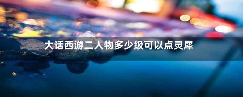 大话西游二人物多少级可以点灵犀