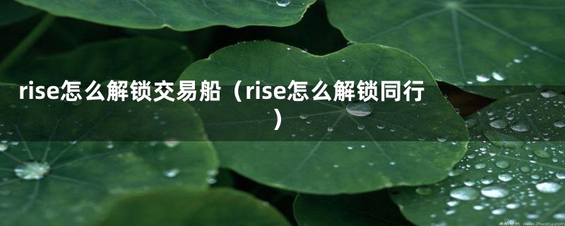 rise怎么解锁交易船(rise怎么解锁同行)