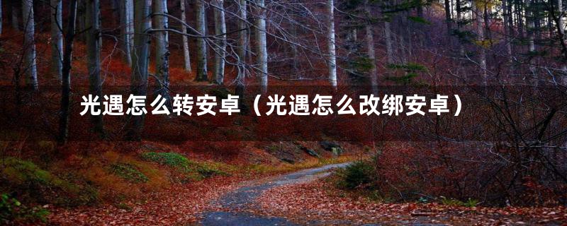 光遇怎么转安卓（光遇怎么改绑安卓）