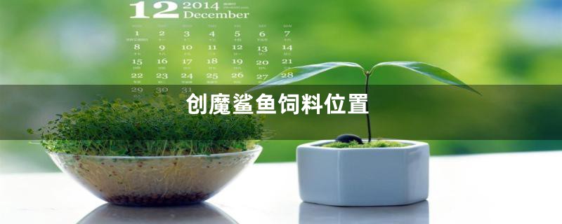 创魔鲨鱼饲料位置