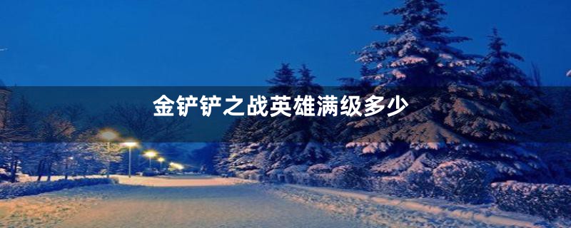 金铲铲之战英雄满级多少
