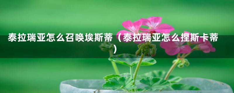 泰拉瑞亚怎么召唤埃斯蒂（泰拉瑞亚怎么捏斯卡蒂）