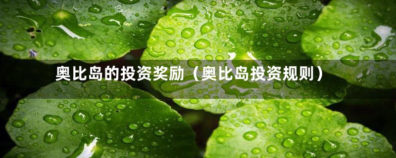 奥比岛的投资奖励(奥比岛投资规则)