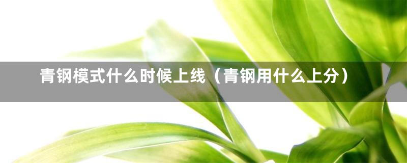 青钢模式什么时候上线（青钢用什么上分）